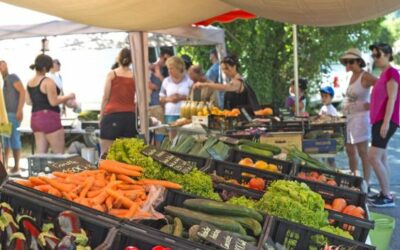 Les marchés du Sud Ardèche, un régal pour vos vacances d&rsquo;été 2026 ! 🍅🍯🎉