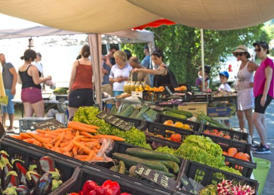 Votre-gite-en-Ardeche-avec-piscine-proche-des-marches-provencaux